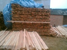 金華國(guó)際貿(mào)易 專業(yè)進(jìn)口木材銷售與加工服務(wù)