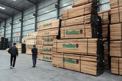 木材價(jià)格飆升下的產(chǎn)業(yè)陣痛 青島工廠無(wú)奈轉(zhuǎn)讓折射行業(yè)困境