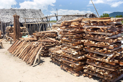 木柴購物視覺全攻略 從圖片素材到創(chuàng)意插畫，打造吸睛營銷